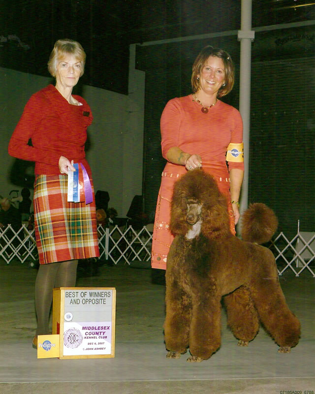 Christine Nethery with a Champion Littleann's Girl Brown - 2010