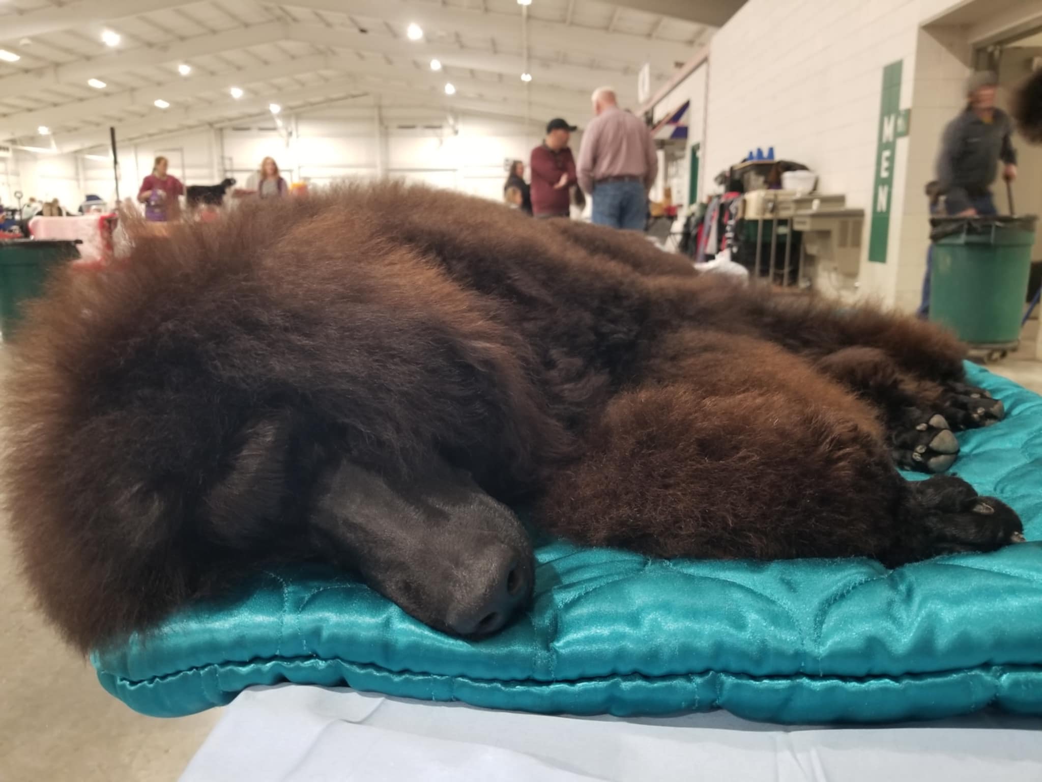 0d33141a-94cf-4aea-bb64-de995ec3efbe