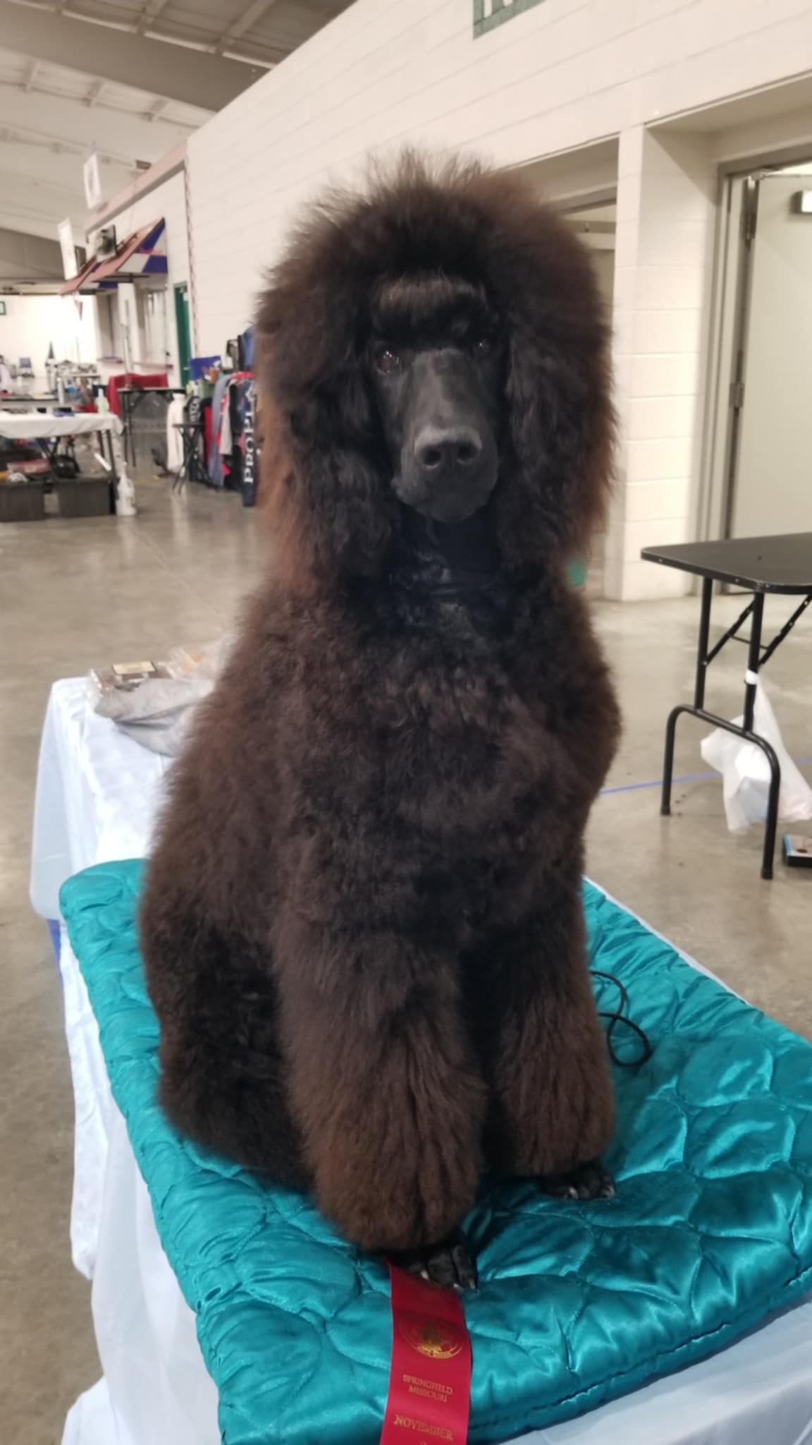 18359822-82a7-4a06-b922-32f21779e231