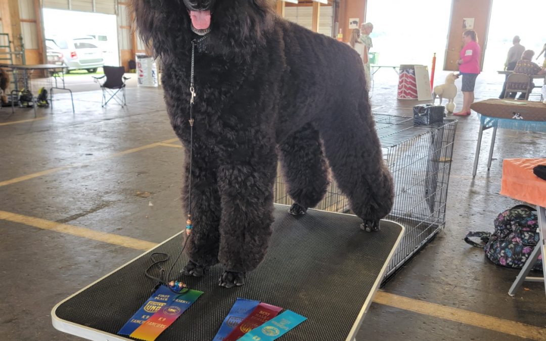 Dior is officially a Champion!