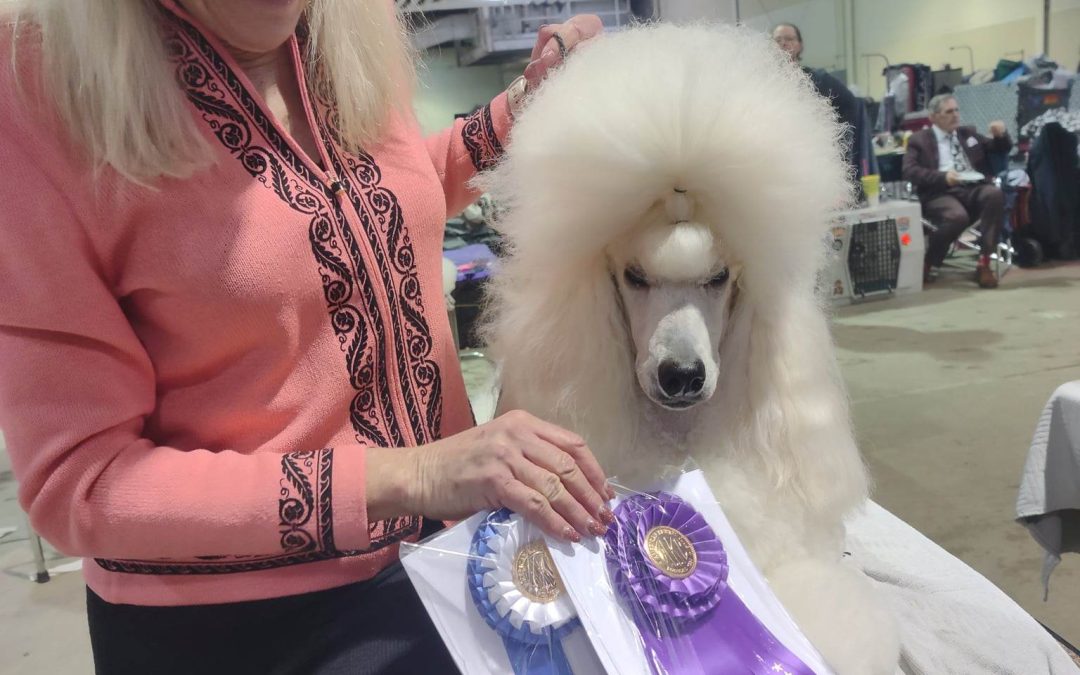 5 Point Major for Katerina!