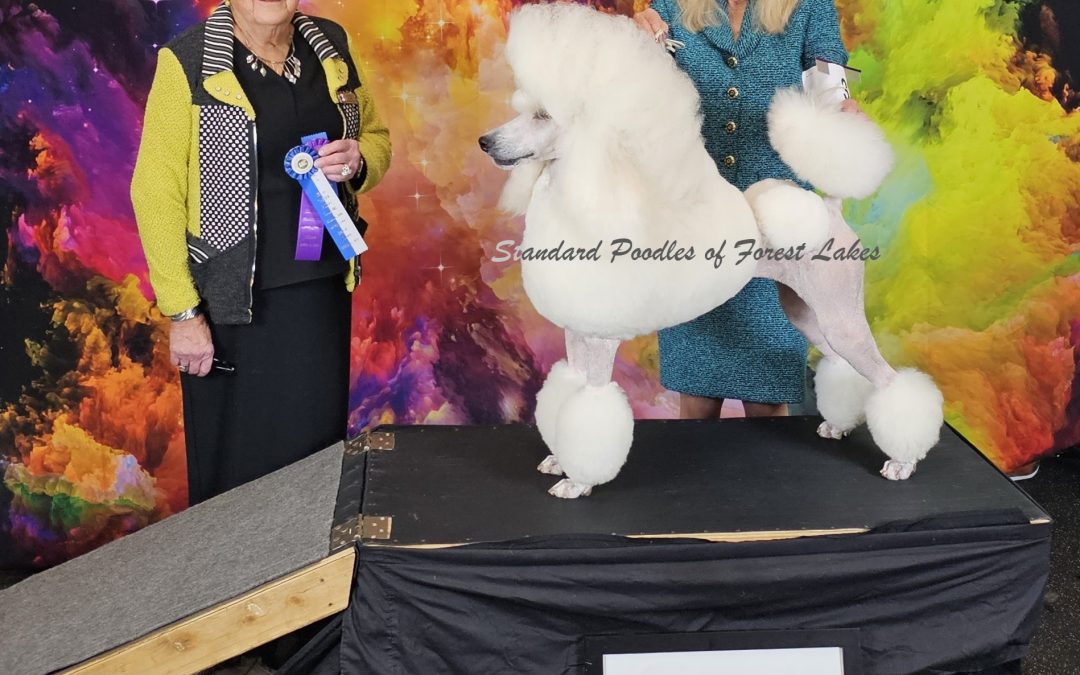 Katerina Earns her American Championship!