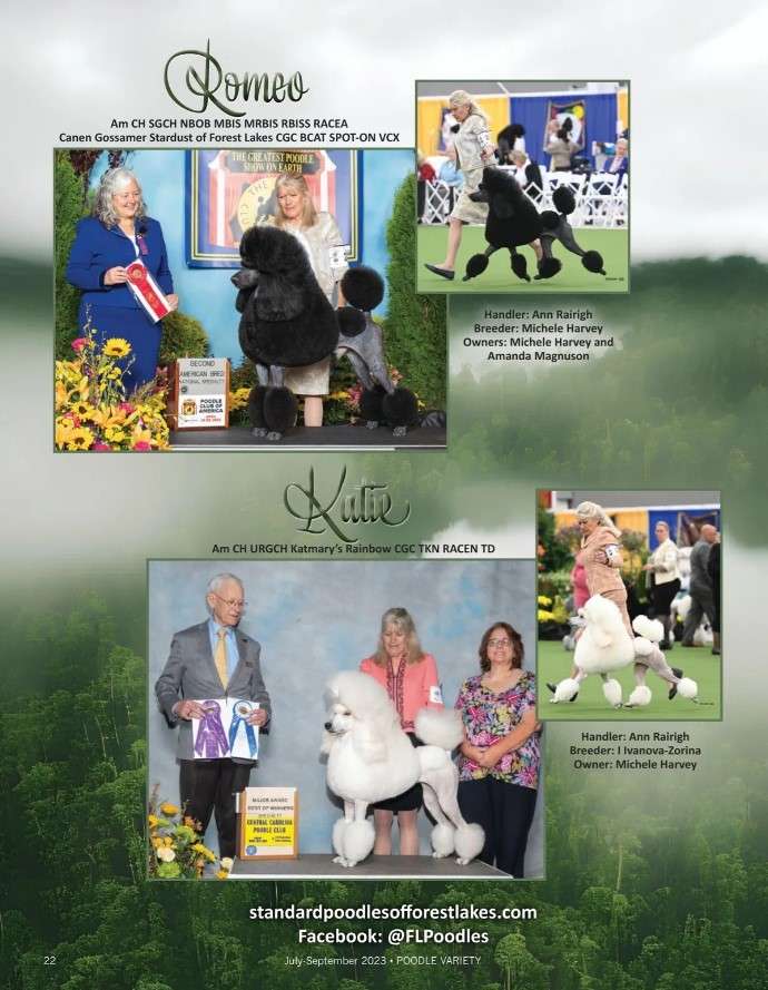 2023Fall_PoodleVarietyAd