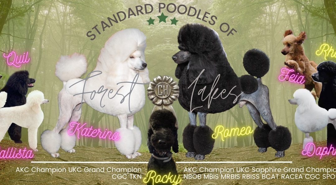 2023 Wrap up – A Glance at Our Remarkable 2023 Achievements