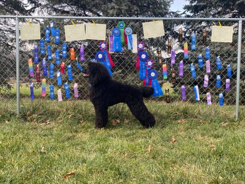 Congratulations to Team Quil on their phenomenal (half a) year!