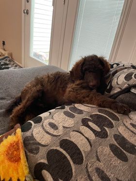 297524690_746446093315089_2852499982468931666_n