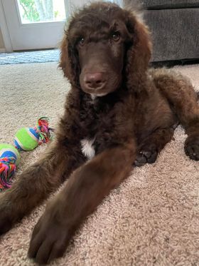 297610108_756464202231530_2059726450203584316_n