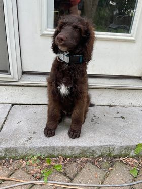 297687366_3080605885583477_714680400838392348_n