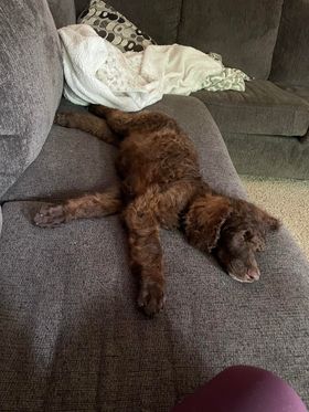 297704742_2620261064775460_3820016010294570678_n