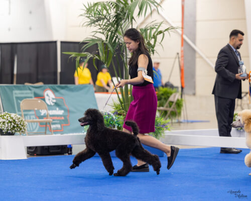 Keshi 2024 UPA Keshi 2nd generation Forest Lakes