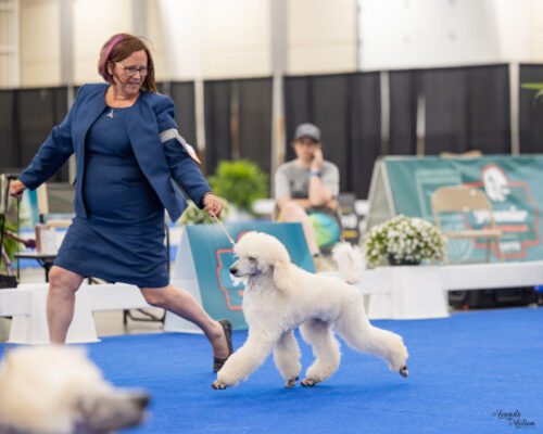 Forest Lakes She Makes it Look EZ!