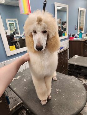 429348164_909156251003083_4027012431415221603_n