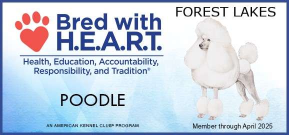 AKC Bred with HEART 2024 WEBSITE