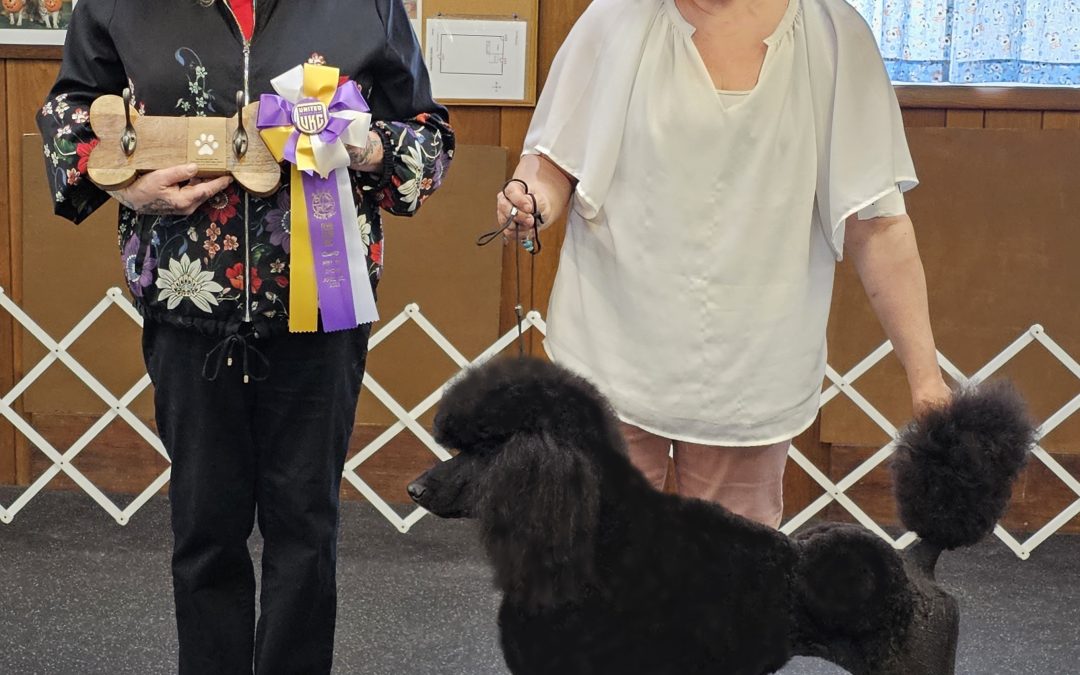 Dior Wins Best in Show at 18 mos