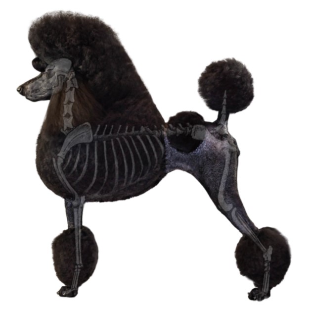 Evaluating Structure