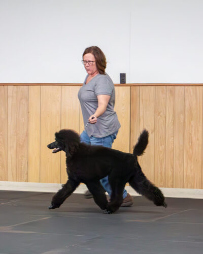 Dusty 0981 Final- Keshi 2nd generation Forest Lakes