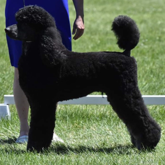 FB_IMG_1656028687745 (2)