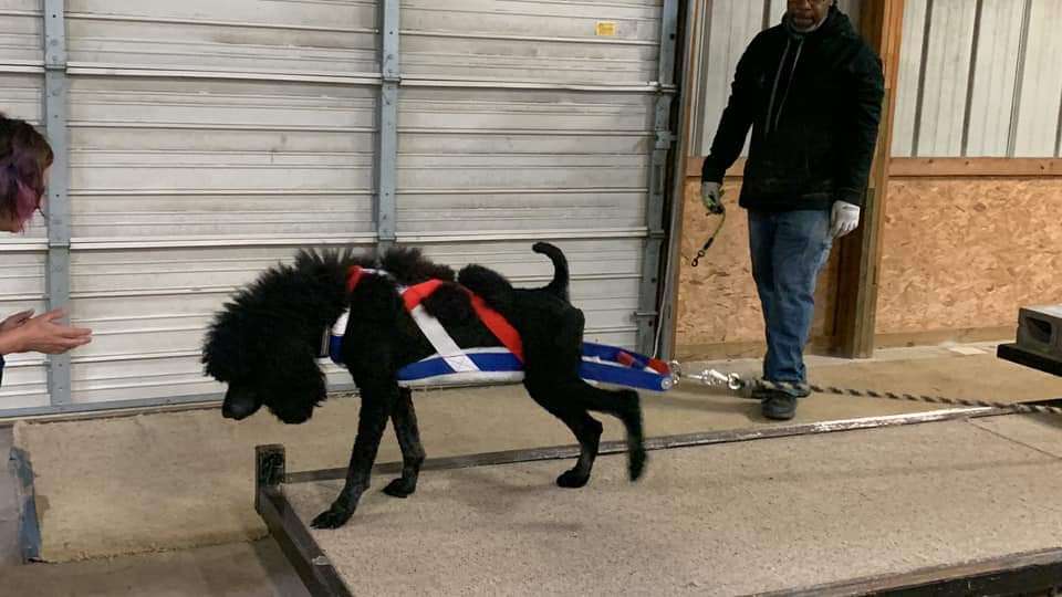 FB_IMG_1697339129716