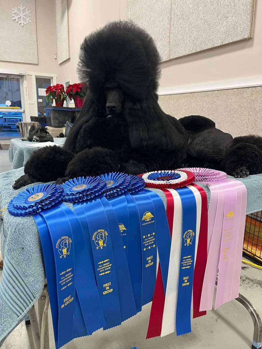 FB_IMG_1701692325459