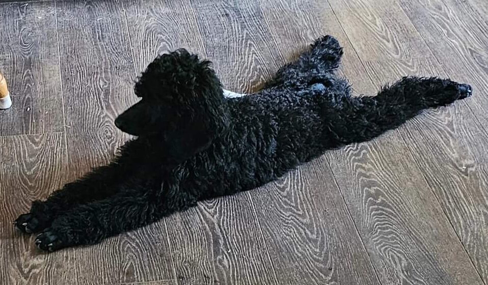 FB_IMG_1732735656891