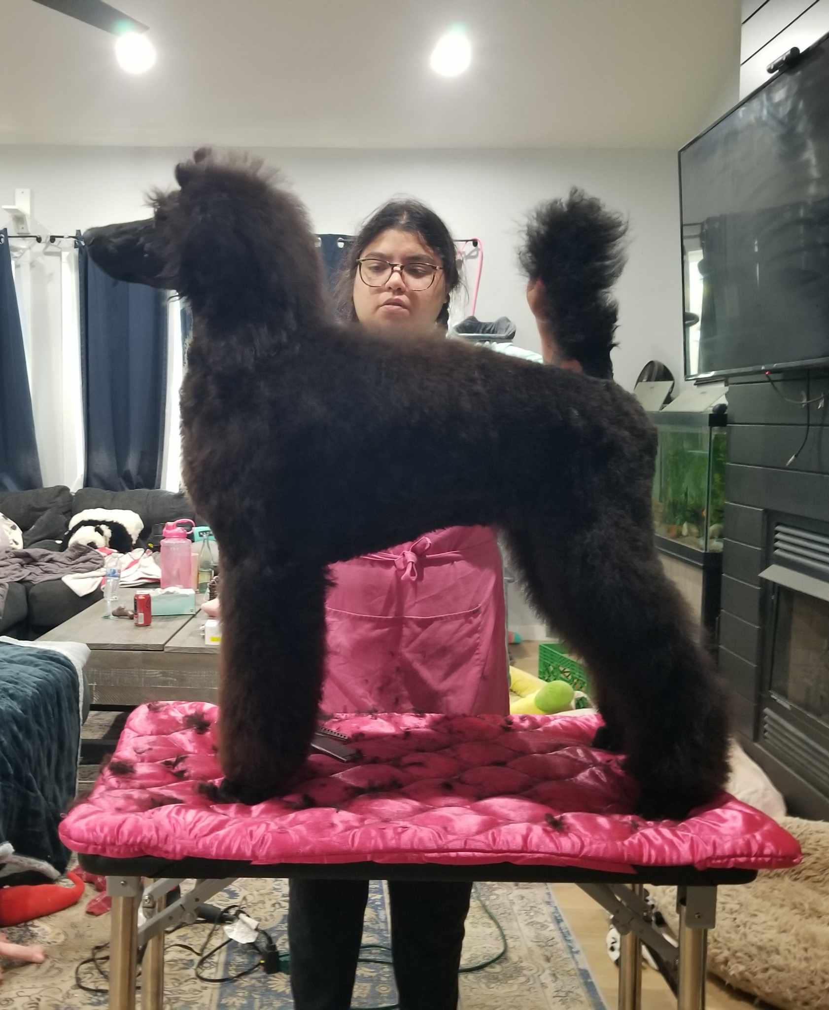 fbaeff53-966a-420b-9772-989585b4274b