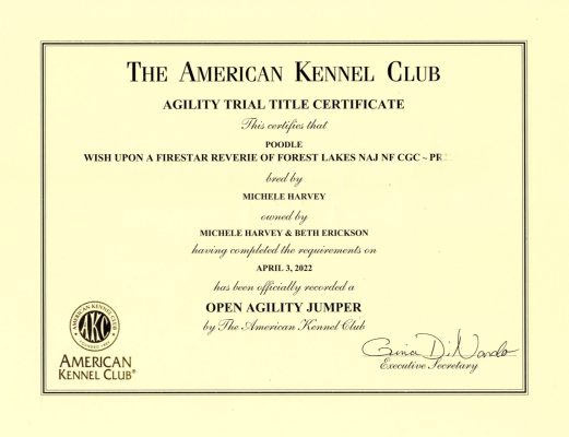 Feia_OpenAgilityTitle05152022