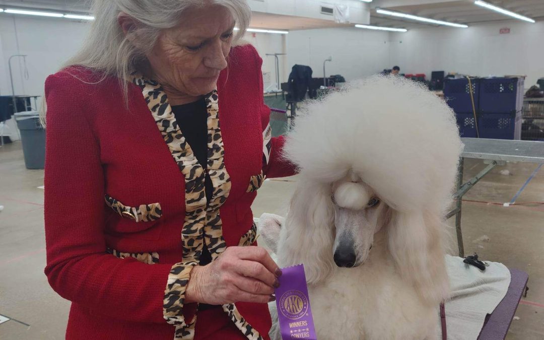 Katerina Wins Big in Atlanta!