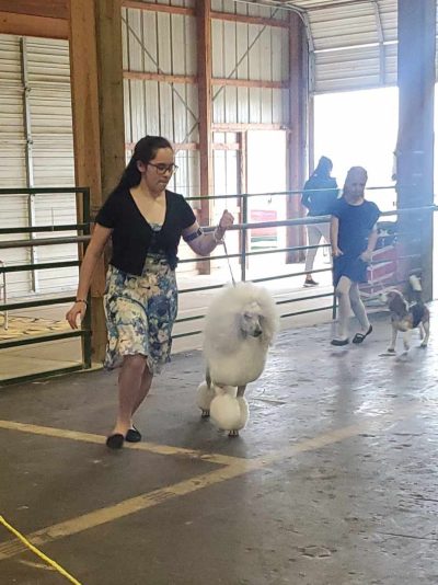 received_205379299020721