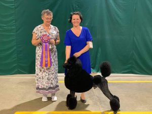 received_334338794980894-300x225