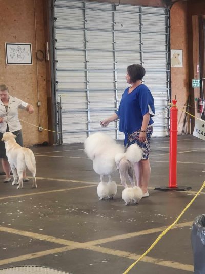 received_3471291209855771