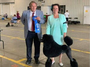 received_848996146016080-300x225