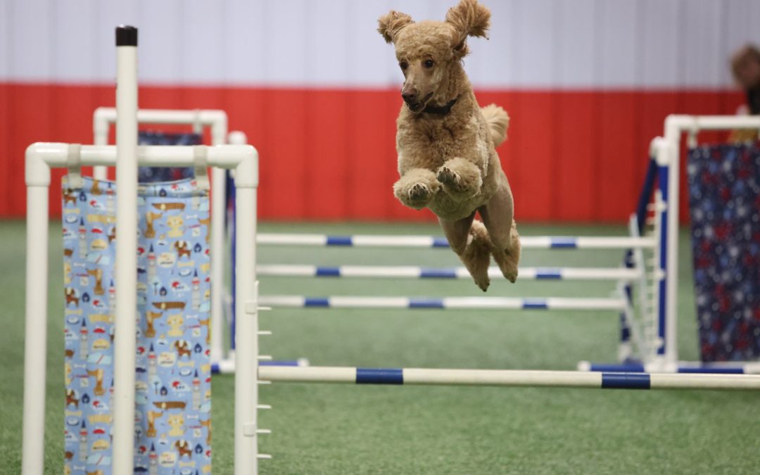 Feia is the Girl on Fire!