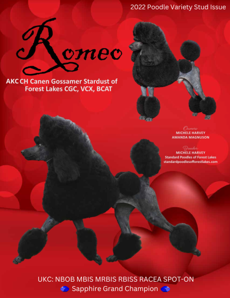 An Astounding 2022 Recap!