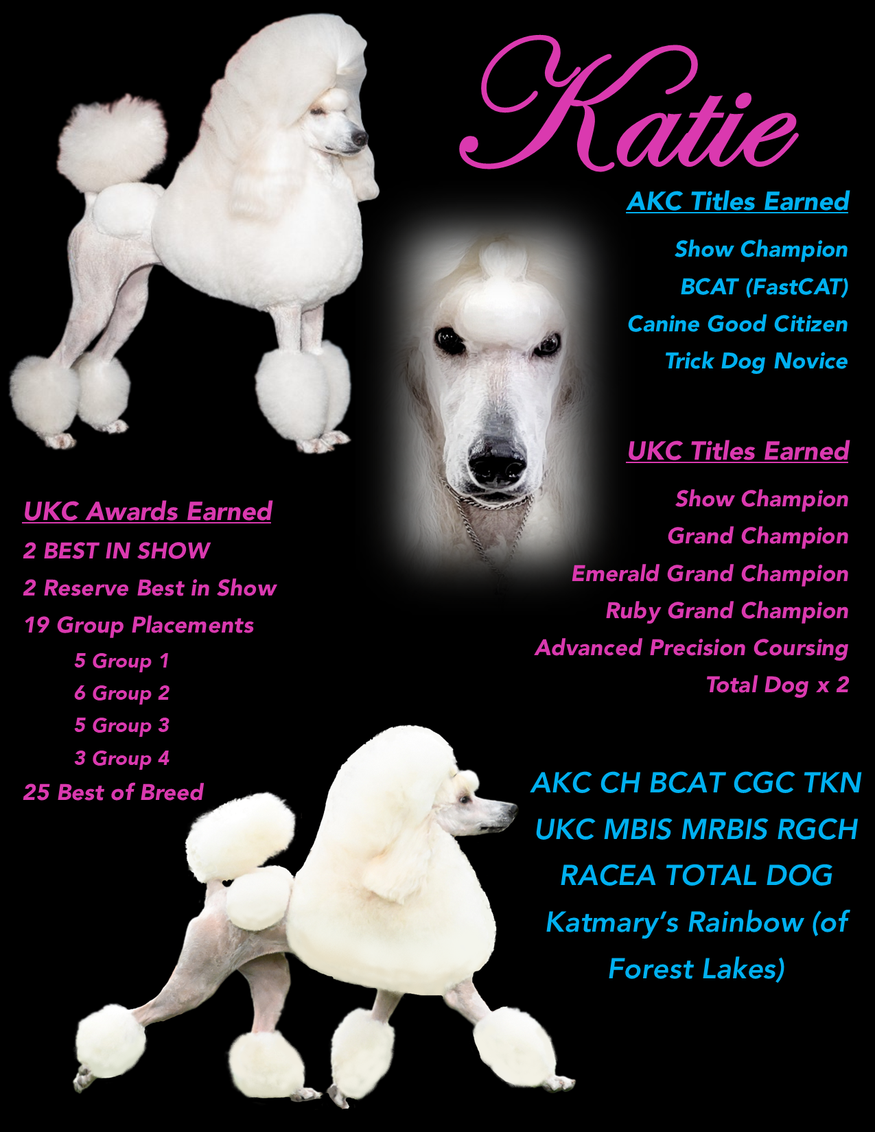 2023_LifetimeAccomplishments