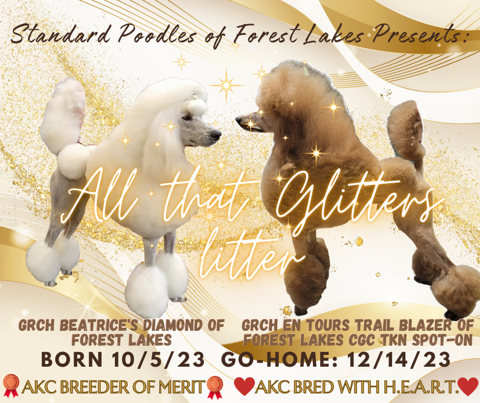 AllThatGlitters Alyria Valor