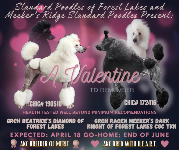 Light Up Life sm blaze