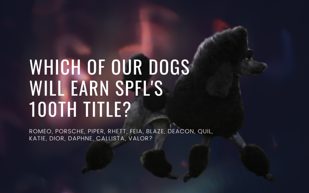 SPFL closes in on the 100th Title!