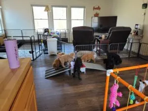 20210403_131354-scaled-e1667671623259-300x225