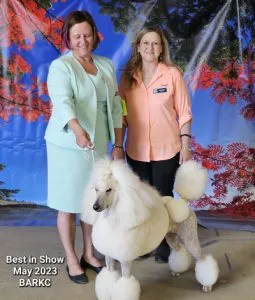 We had fun adding 12 (or 14) new titles in the last week and a half!